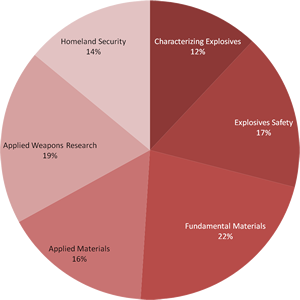 demographics pie chart